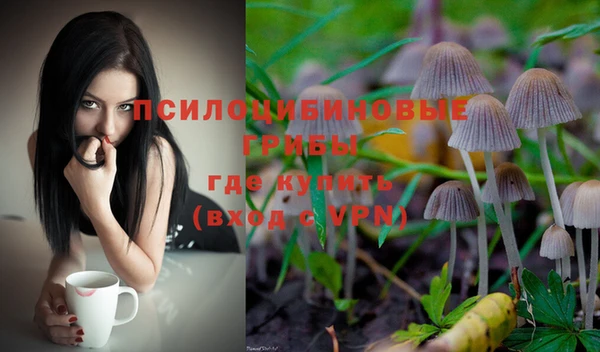 спайс Нягань