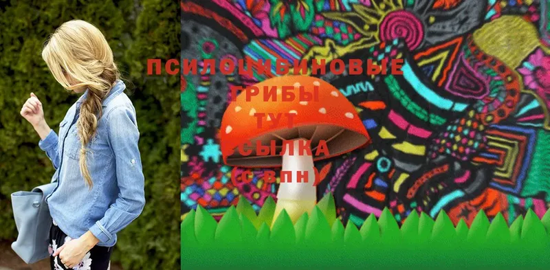 мега зеркало  наркошоп  shop наркотические препараты  Галлюциногенные грибы MAGIC MUSHROOMS  Тарко-Сале 